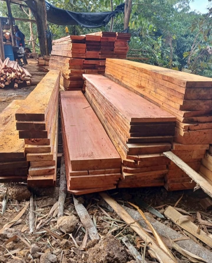 Sawn Mahogany Timber