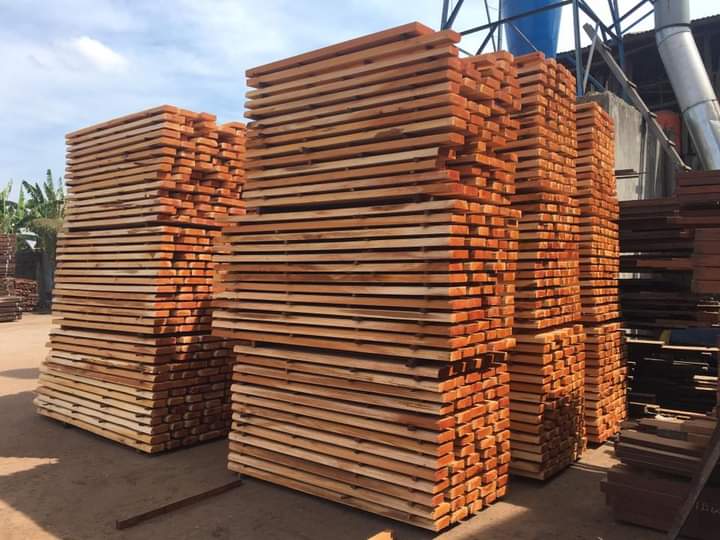 Timber production and wood processing at PT TATA SUMBER INTI